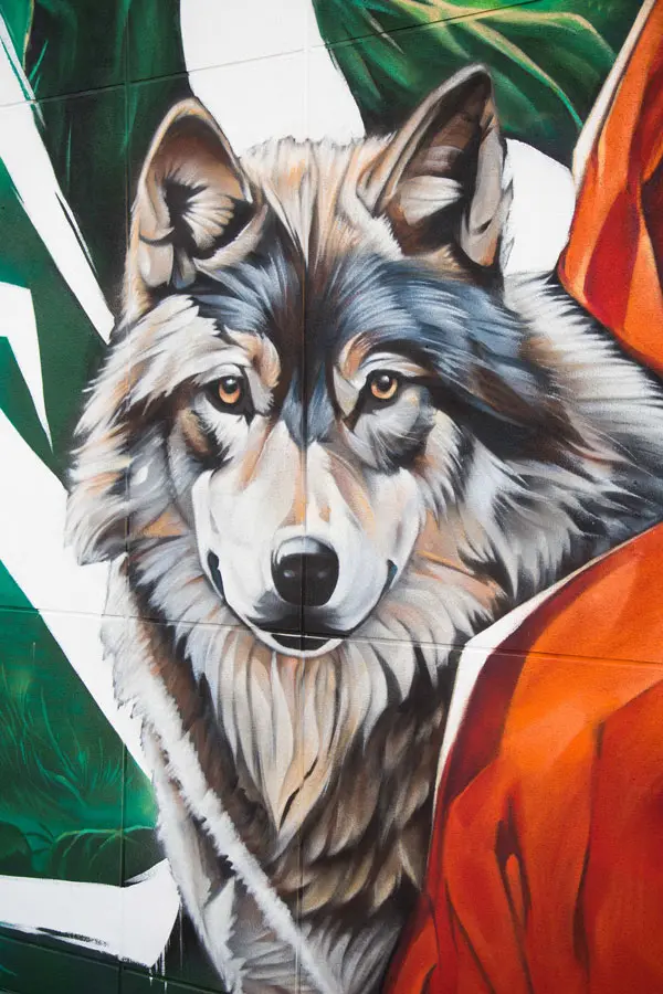 Detalle realista de lobo en mural para colegios realizado por Asem Navarro en Madrid