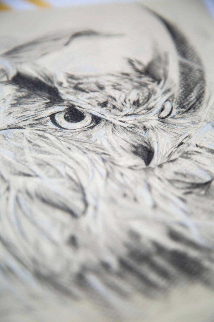 Las aves de paso