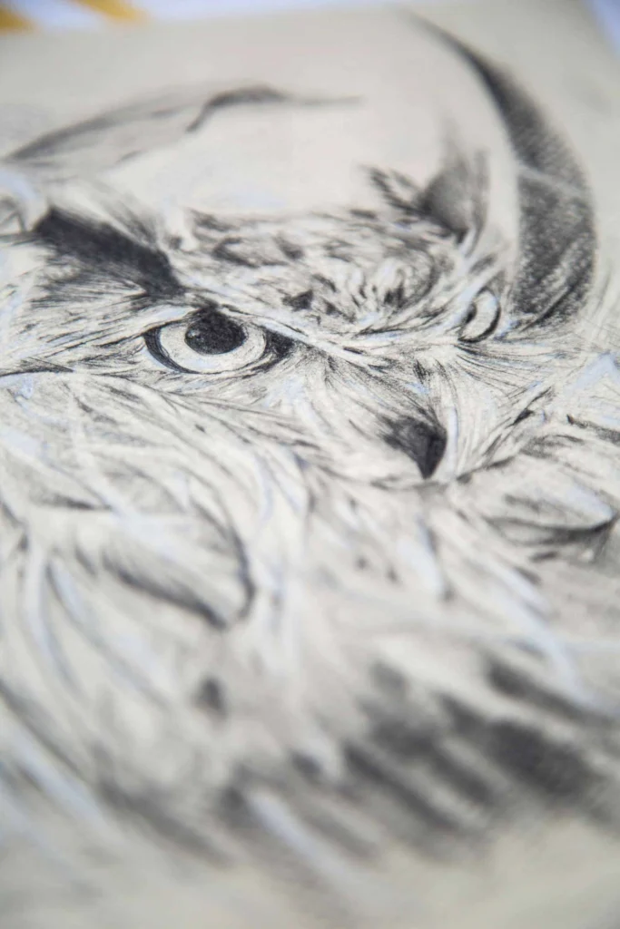 Las aves de paso