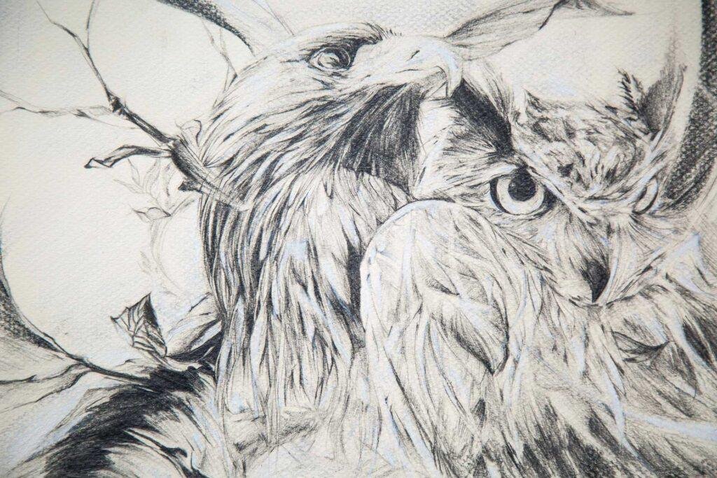 Las aves de paso