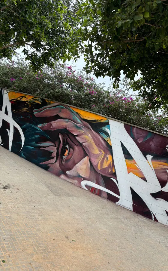 Graffiti de rostro expresivo realizado en Alaquàs por encargo del Ayuntamiento
