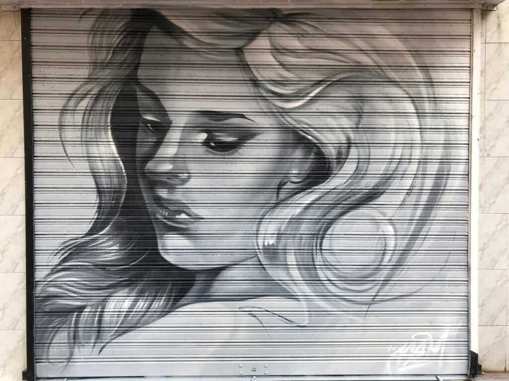 Resumen de graffitis artísticos en murales, cierres y fachadas de negocios variados