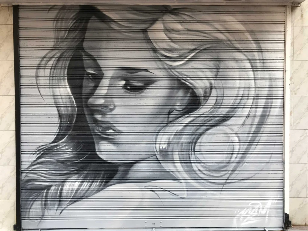 Resumen de graffitis artísticos en murales, cierres y fachadas de negocios variados