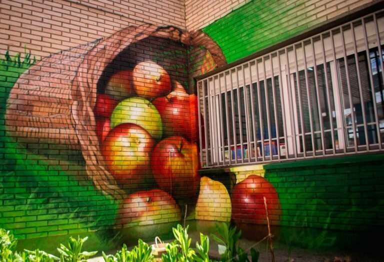 Resumen de graffitis artísticos en murales, cierres y fachadas de negocios variados
