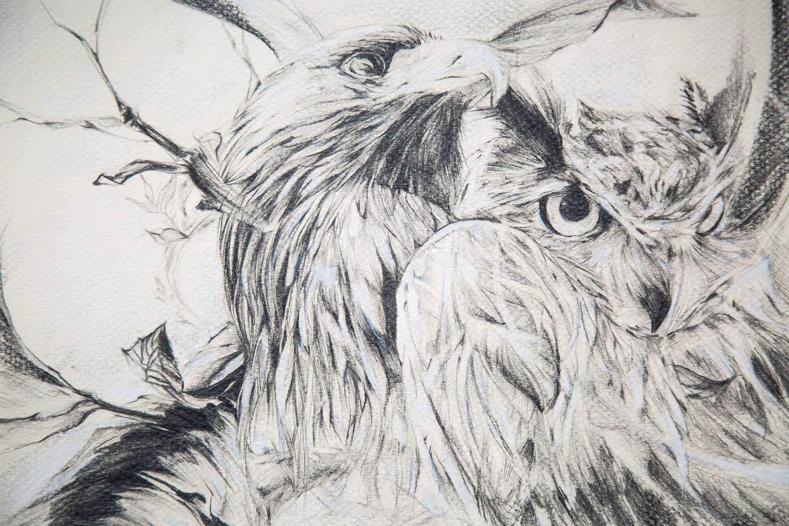 Ilustración personalizada