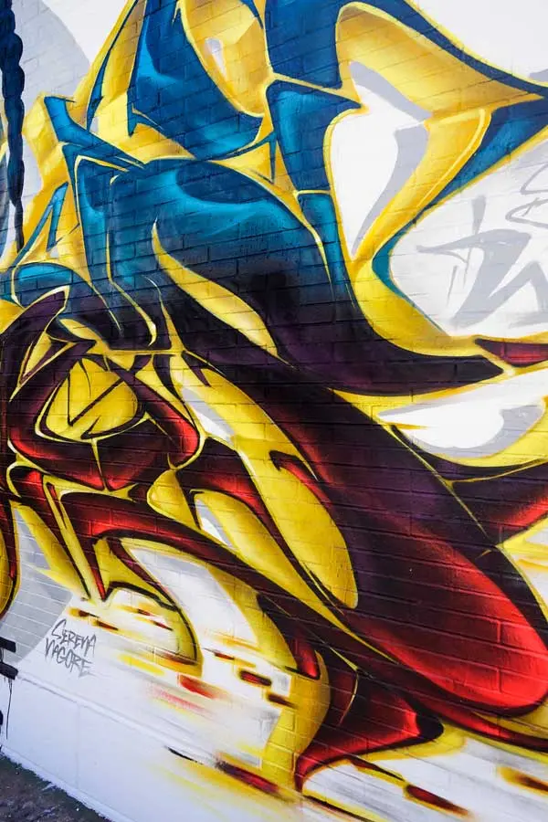 Mural de Snoop Dogg en el festival Hip Hop Street Vícar organizado por el Ayuntamiento