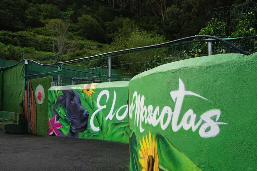 Mural corporativo con lettering El Jardín de las Mascotas y retrato de perro sobre fondo vegetal