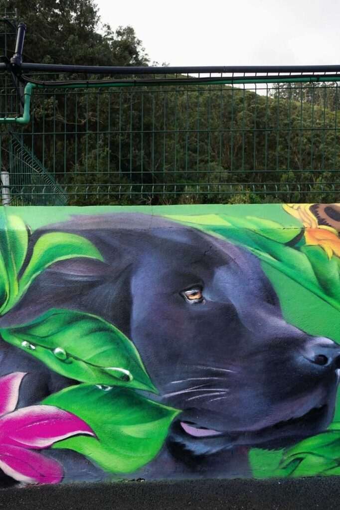 Vista lateral del acceso con mural vegetal, branding del negocio y retrato de perro negro