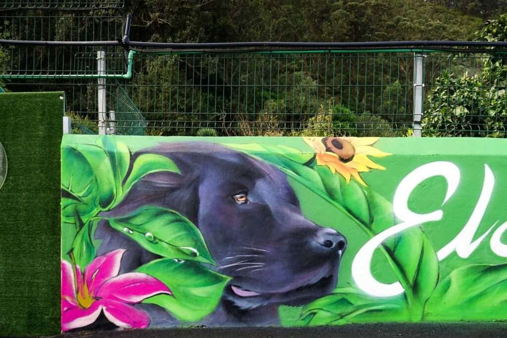 Detalle de mural con retrato de perro negro entre hojas verdes y flor rosa en Tenerife