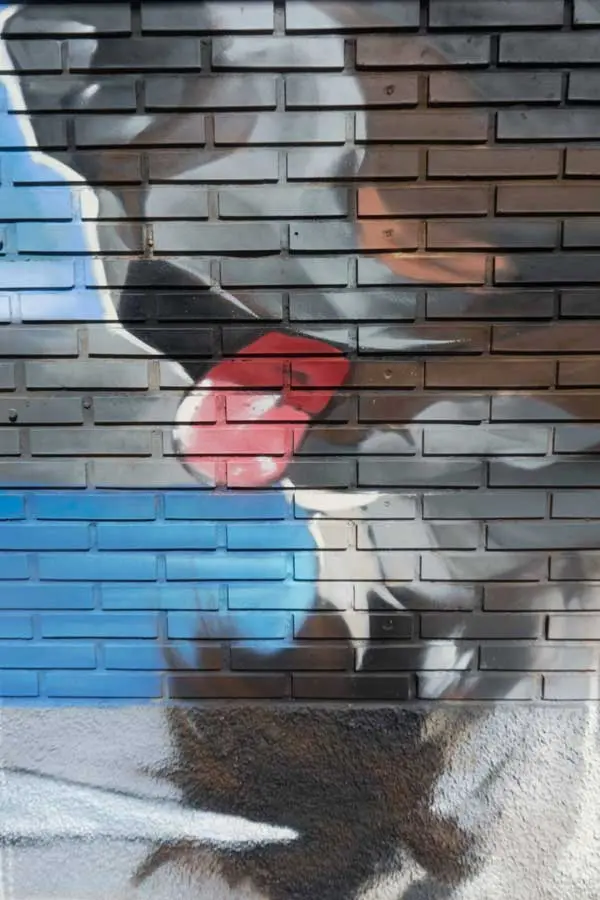mural en clinica veterinaria