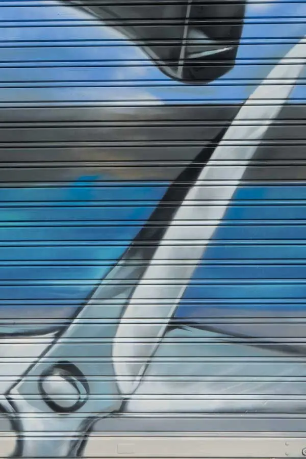 Murales para clínicas veterinarias en Toledo