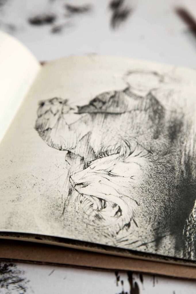 Ilustraciones para libros