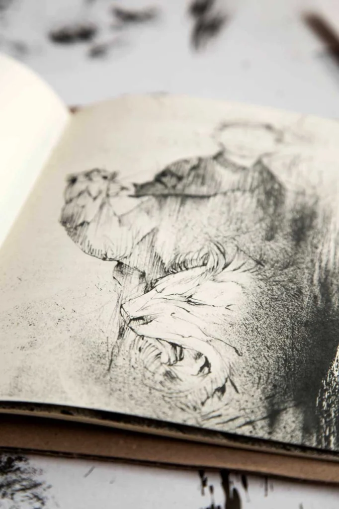 Ilustraciones para libros