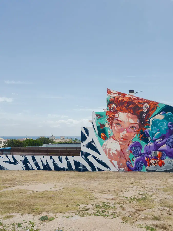 Mural del festival Efímurs pintado a spray en el Baix Ebre, Tarragona