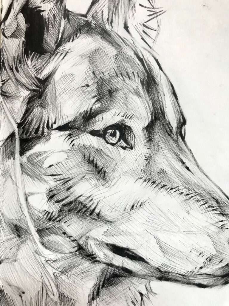 Ilustración personalizada de animal o mascota por encargo