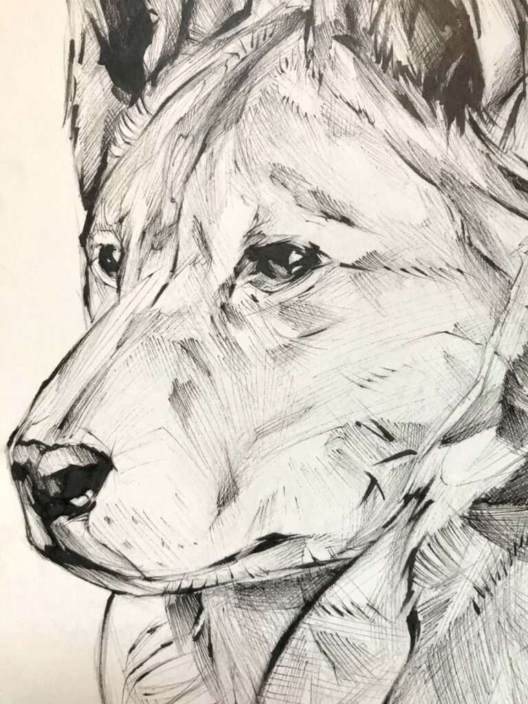 Ilustración personalizada de animal o mascota por encargo