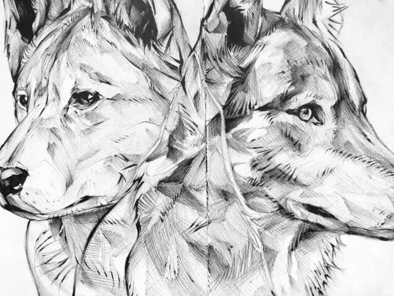 Ilustración personalizada de animal o mascota por encargo