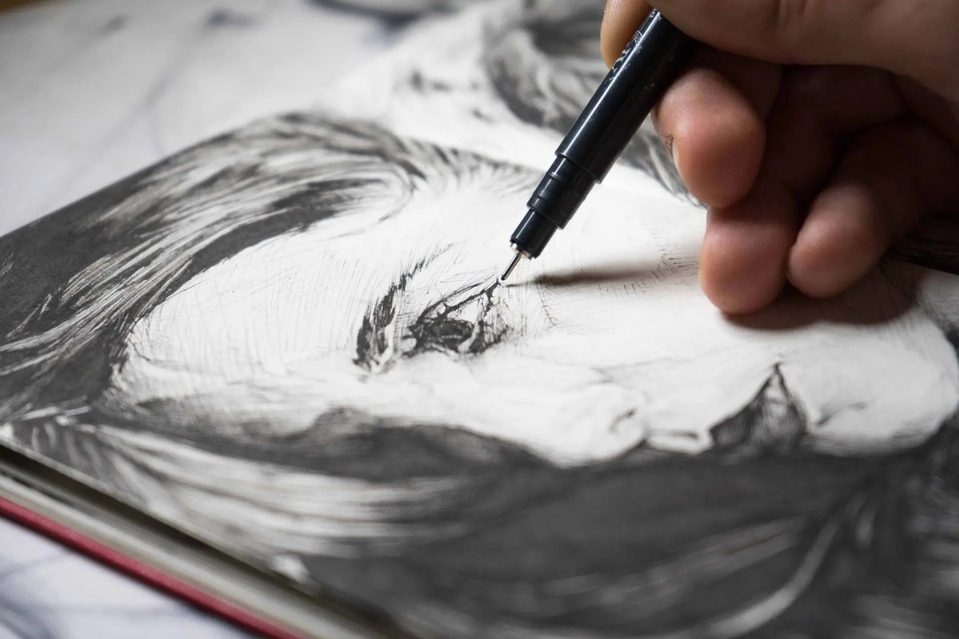 Recopilación de retratos a tinta hechos por encargo