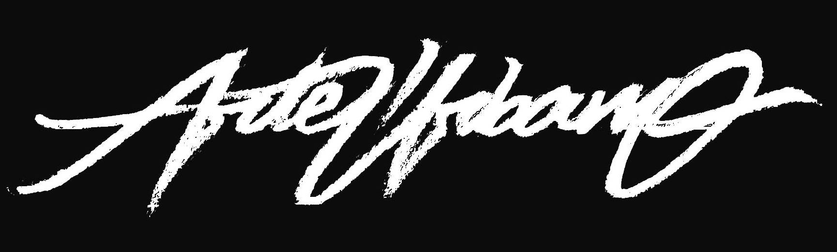 Firma de Asem Navarro - El Arte Urbano