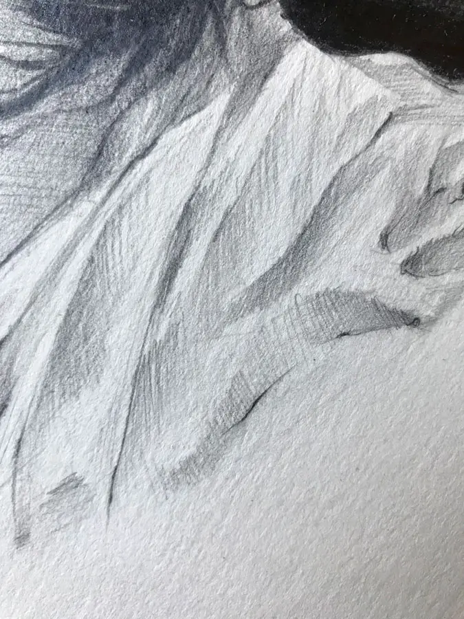 ilustracion retrato personalizado mujer asiatica