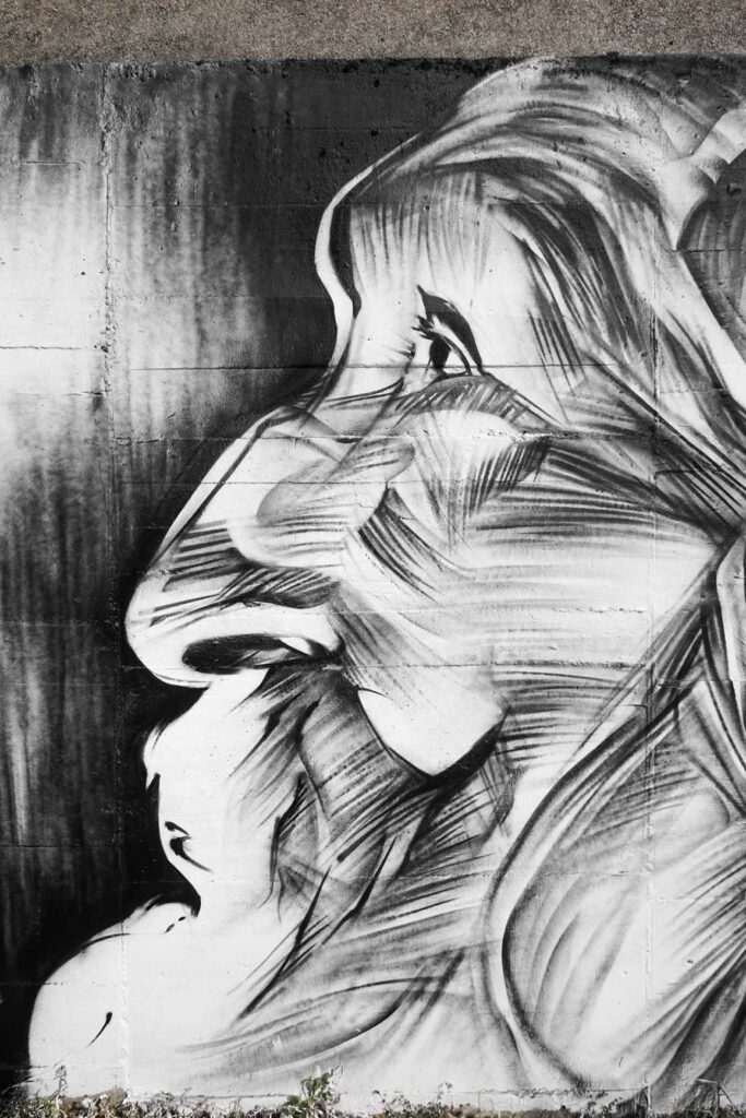 murales en colegios publicos y privados