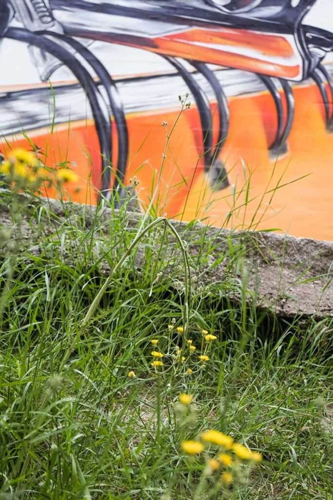 murales en colegios publicos y privados