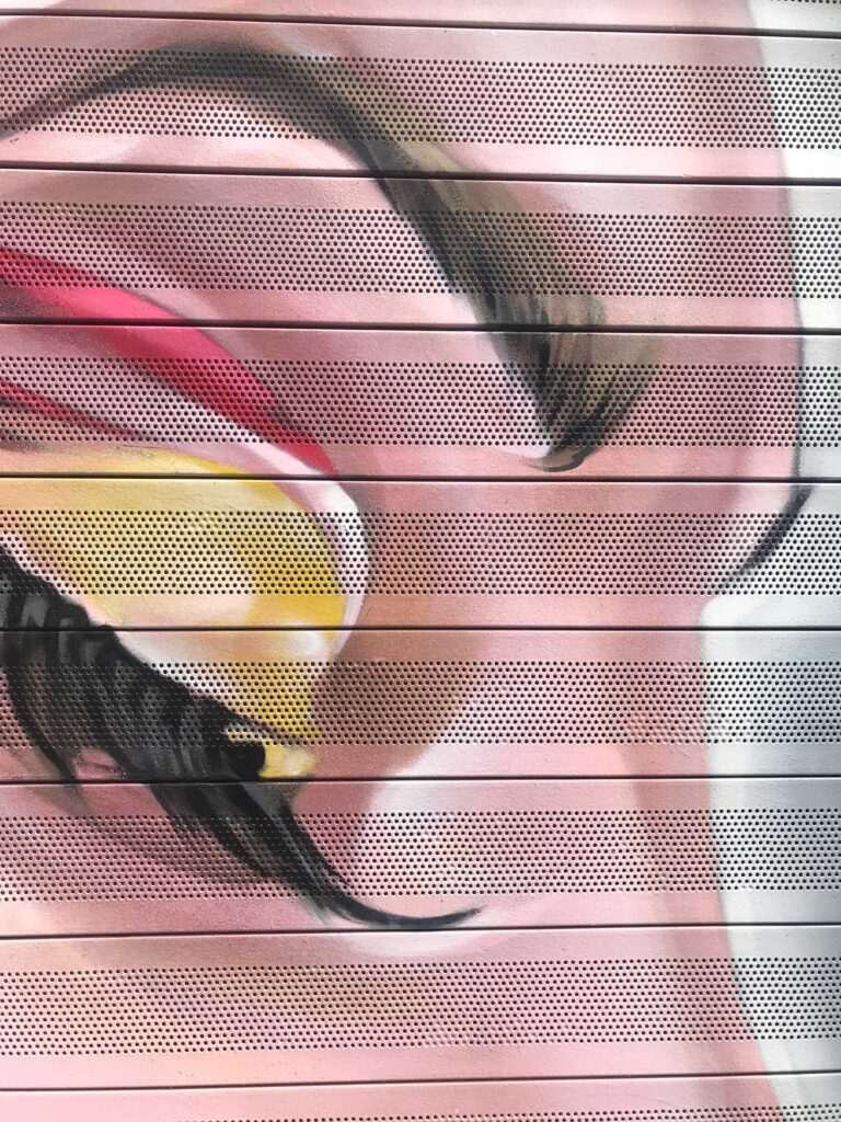 Retrato femenino en cierre de clínica Carmela Dávila, mural artístico para negocio de belleza