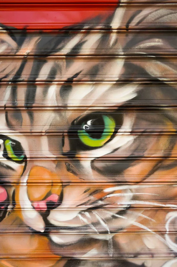 Graffiti con perro y gato en bañera para tienda veterinaria Mascota Total
