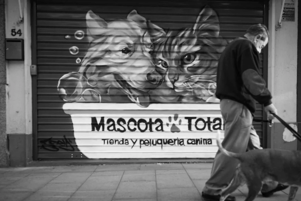 Graffiti con perro y gato en bañera para tienda veterinaria Mascota Total