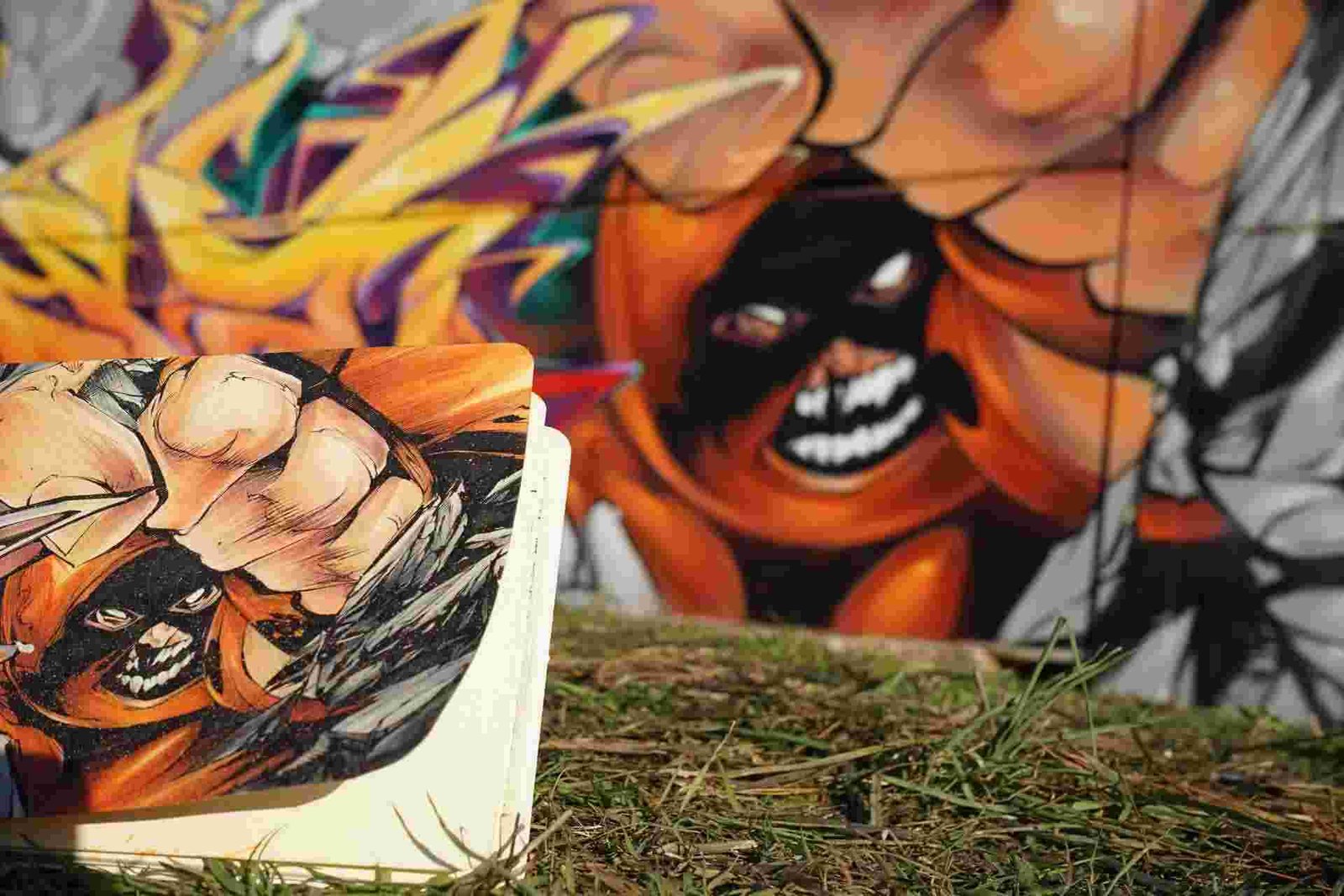 murales en gimnasios privados