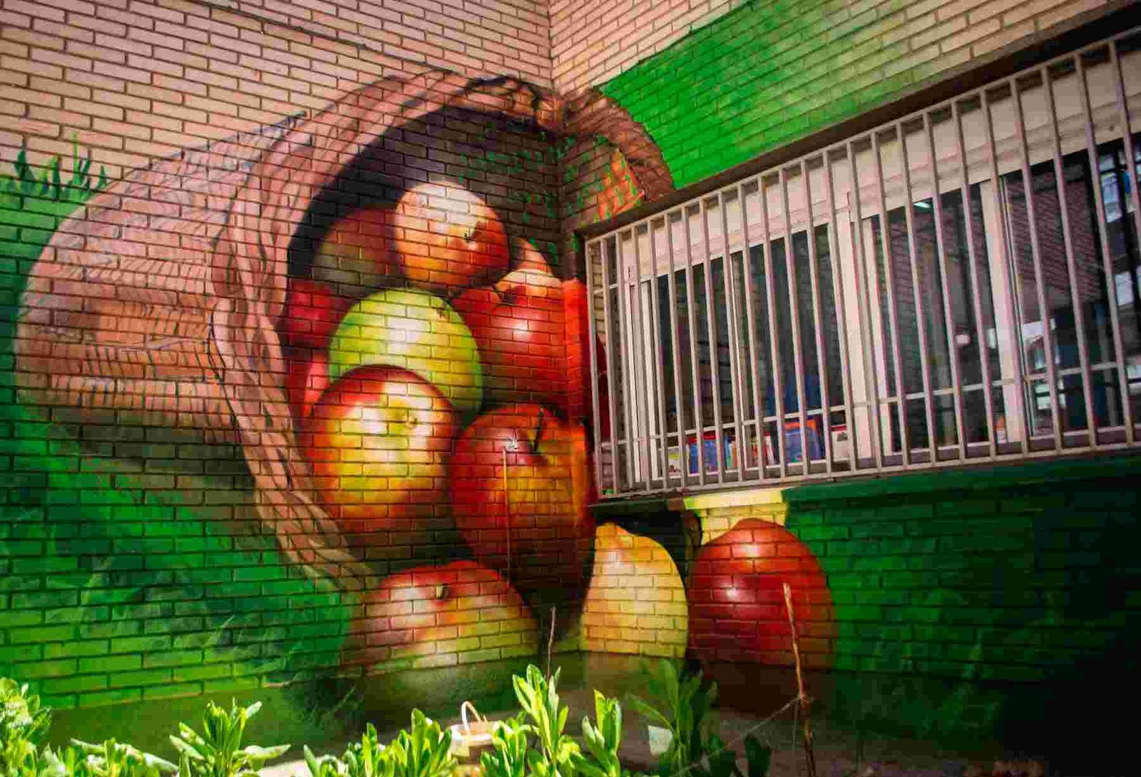 Resumen de graffitis artísticos en murales, cierres y fachadas de negocios variados