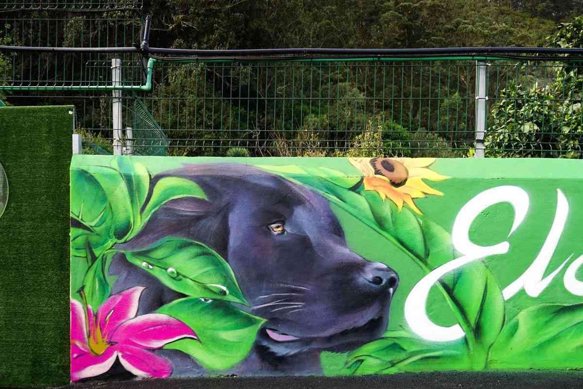 Murales personalizados para Hoteles