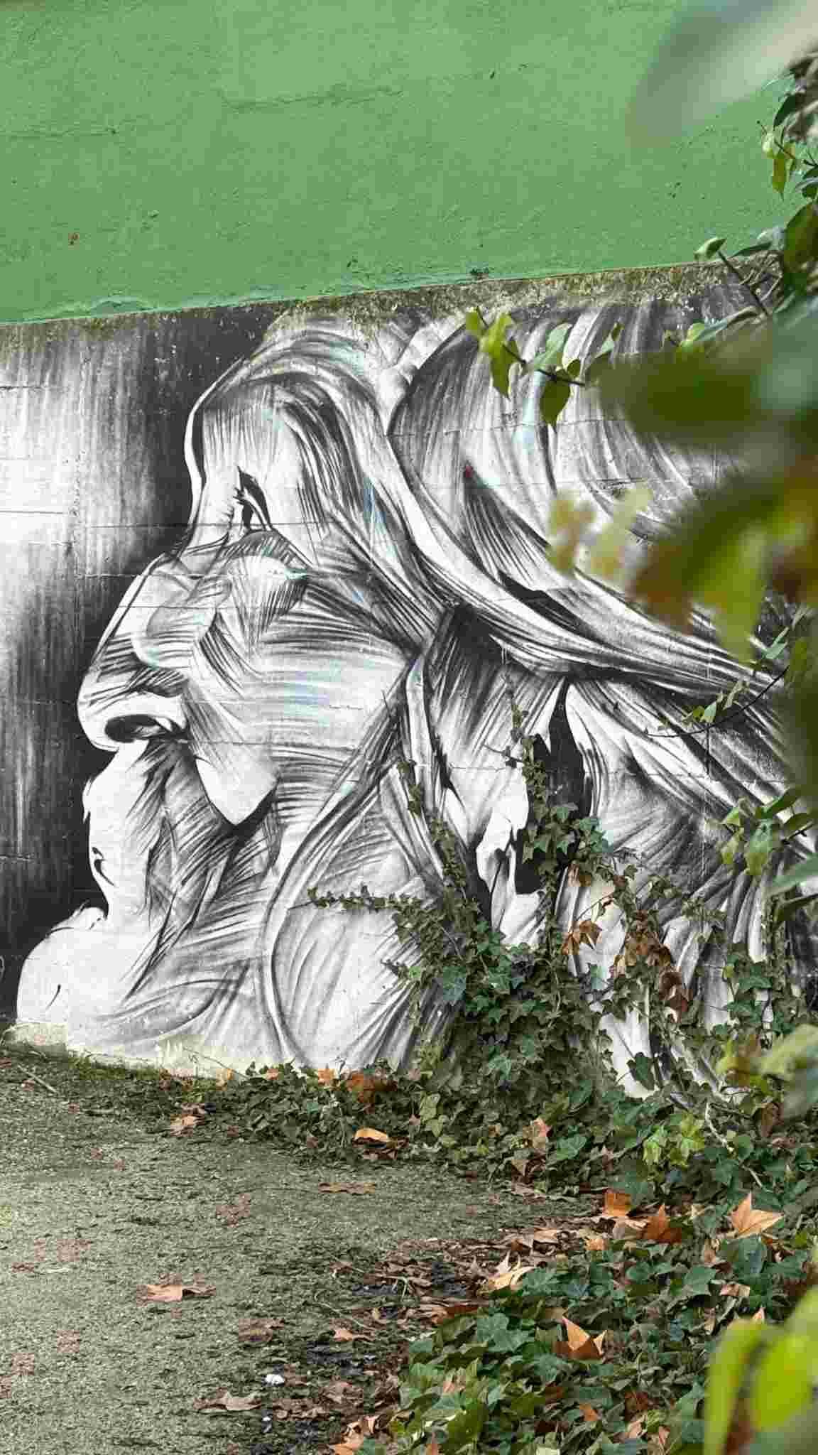 mural centro salud madrid