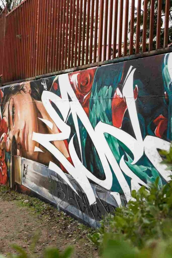 mural madrid the edge of the blade retrato femenino con rosas y serpiente tipografía graffiti blanca barrio del pilar