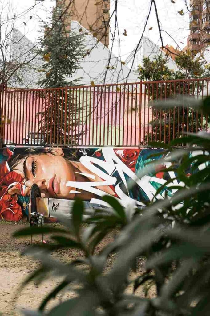 mural madrid the edge of the blade retrato femenino con rosas y serpiente tipografía graffiti blanca barrio del pilar