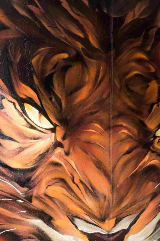 Close-up del entrecejo y la mirada felina del tigre en graffiti