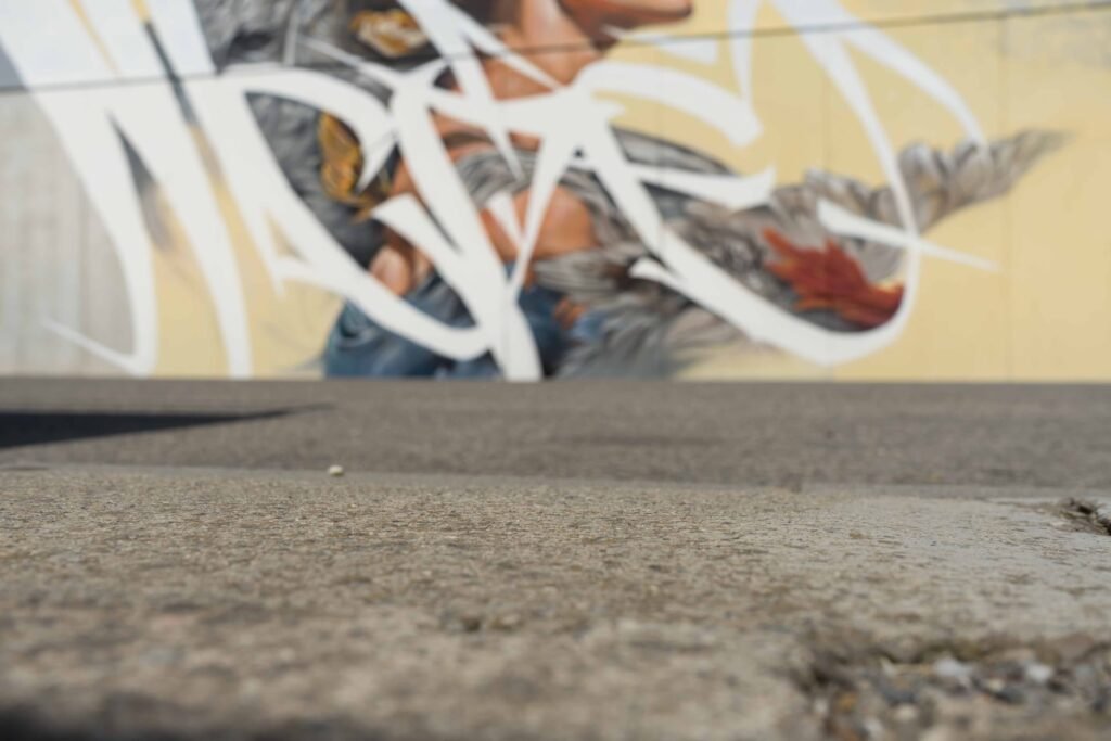 El mural Lliure tras el asfalto de la calle, en una toma a ras de suelo en Torrefarrera (Lleida)
