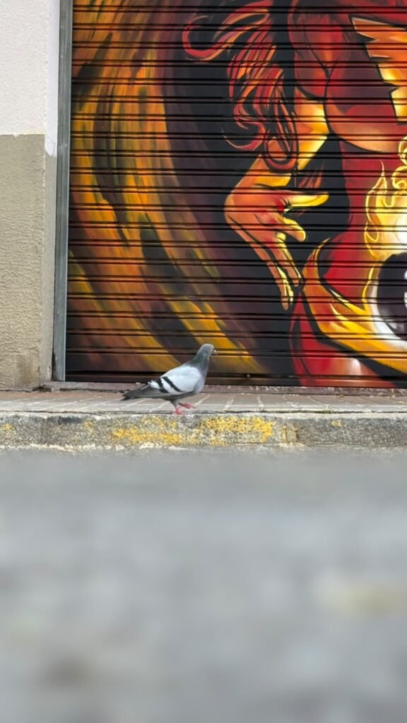 Graffiti en la persiana de Estudio Fénix, Barcelona