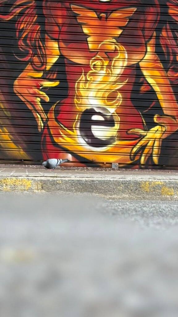 Graffiti en la persiana de Estudio Fénix, Barcelona