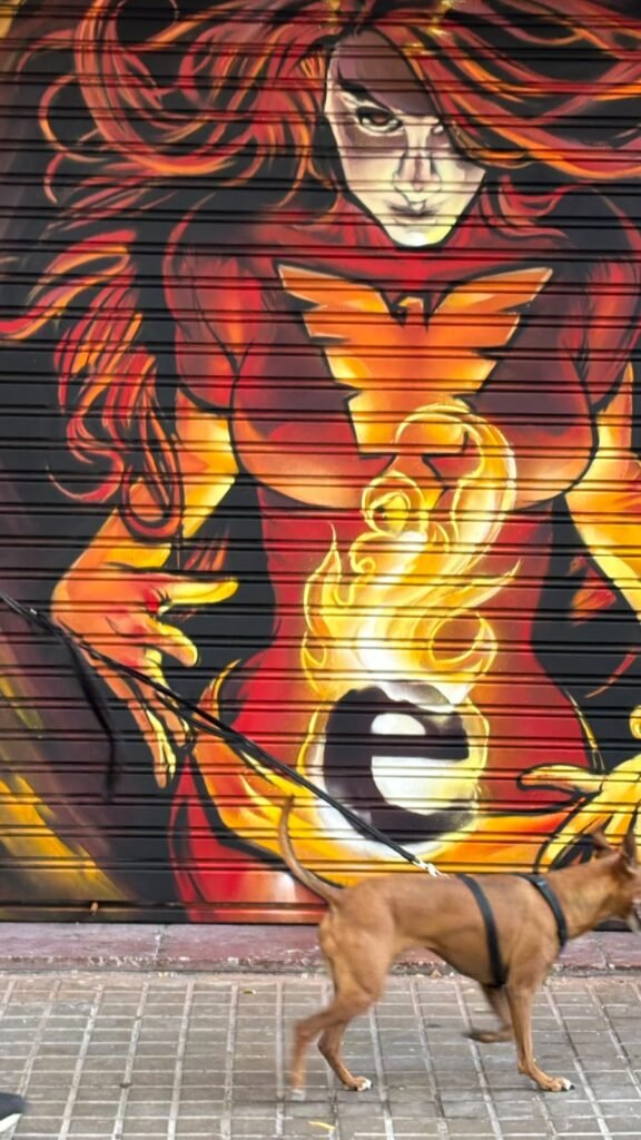 Graffiti en la persiana de Estudio Fénix, Barcelona