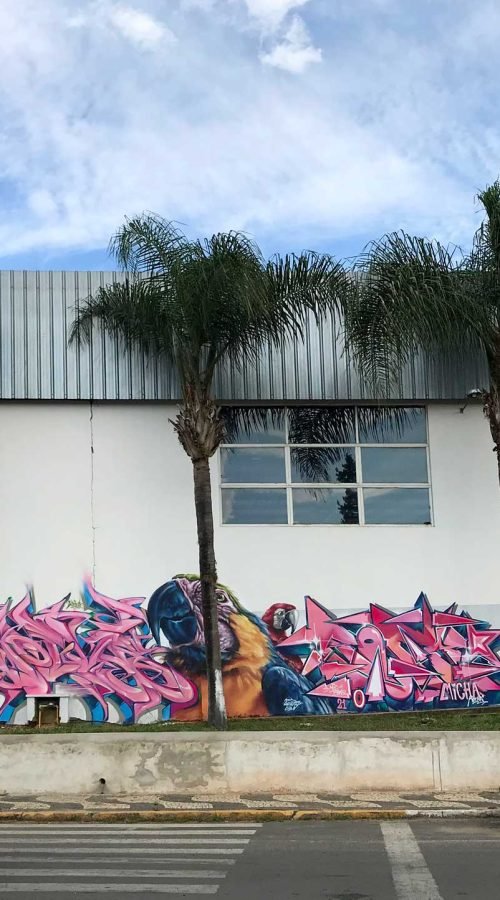 Graffiti urbano 3D con efecto visual wildstyle