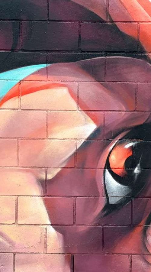 Graffiti de rostro expresivo realizado en Alaquàs por encargo del Ayuntamiento