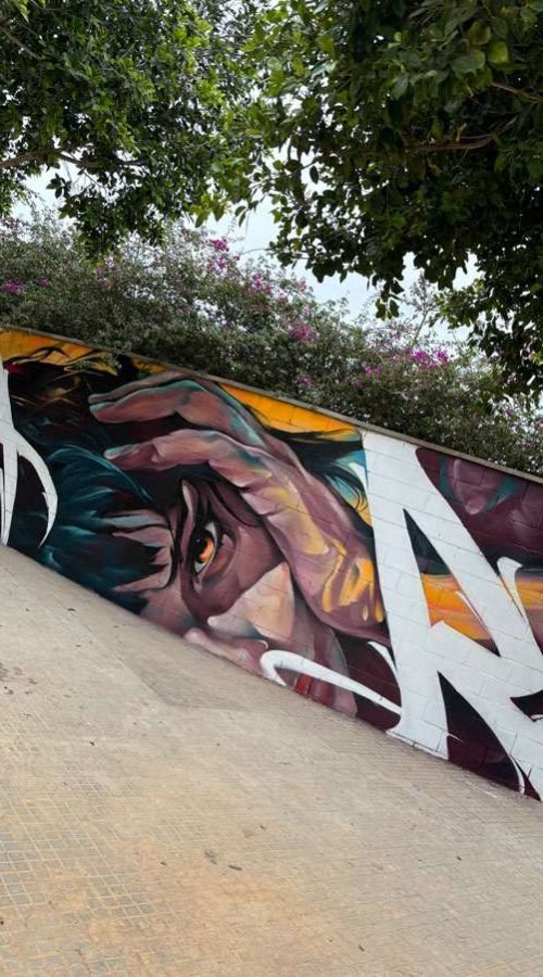 Graffiti de rostro expresivo realizado en Alaquàs por encargo del Ayuntamiento