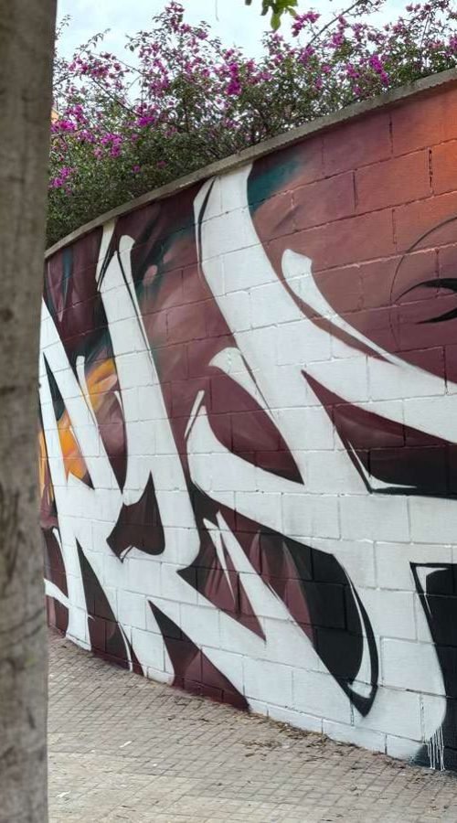 Graffiti de rostro expresivo realizado en Alaquàs por encargo del Ayuntamiento
