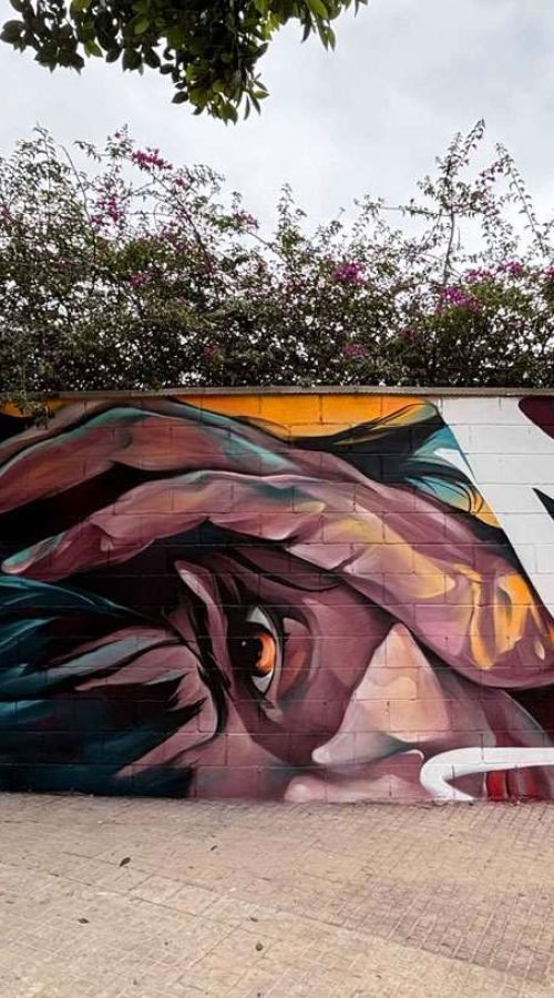 Graffiti de rostro expresivo realizado en Alaquàs por encargo del Ayuntamiento