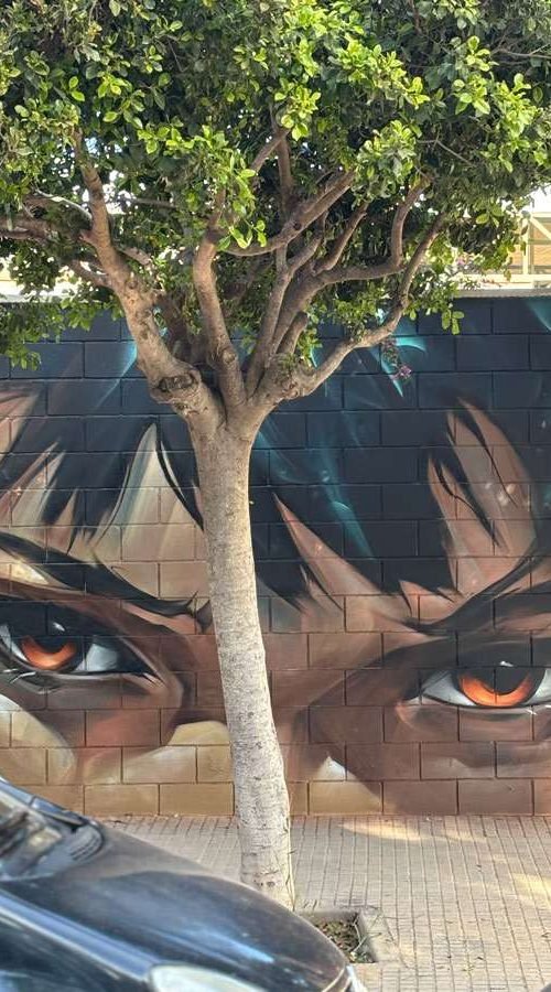 Graffiti de rostro expresivo realizado en Alaquàs por encargo del Ayuntamiento