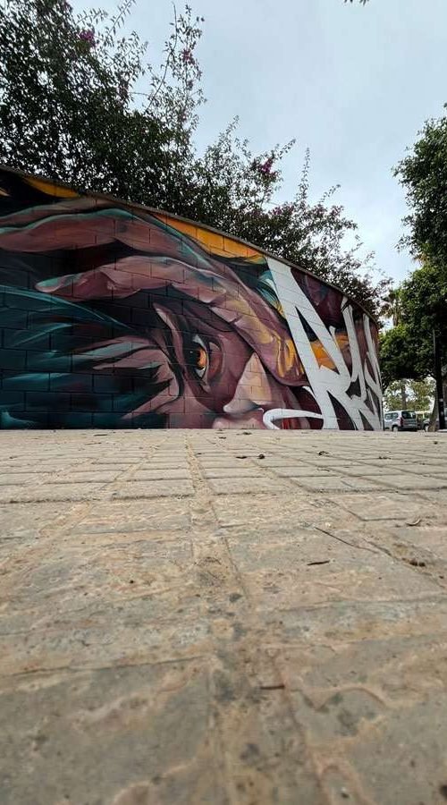 Graffiti de rostro expresivo realizado en Alaquàs por encargo del Ayuntamiento