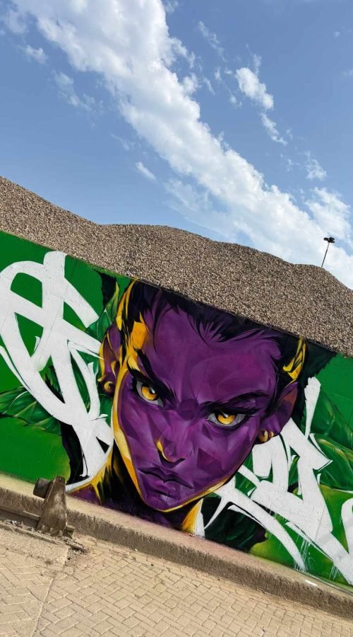 Graffiti retrato morado en festival de arte urbano en Holanda