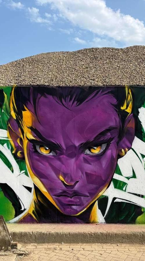 Graffiti retrato morado en festival de arte urbano en Holanda