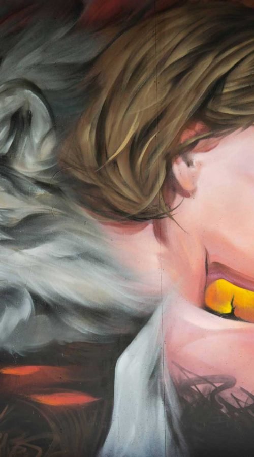 Mural Graffiti Lobos